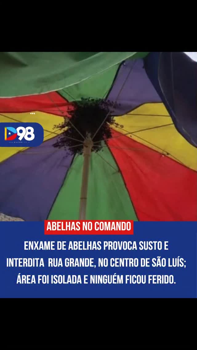 Um enxame de abelhas causou susto e levou ao isolamento de um trecho da Rua Grande, no Centro de São Luís, na quinta-feira (9). Os insetos estavam concentrados em um guarda-sol de um vendedor ambulante, em uma das áreas mais movimentadas da capital.

Equipes do Corpo de Bombeiros e da Polícia Militar foram acionadas. A PM isolou a área para evitar a aproximação de pedestres, enquanto os bombeiros realizaram o controle do enxame com segurança.

Apesar da tensão no local, ninguém ficou ferido. Após a ação, a via foi liberada.

A orientação é não tentar remover colmeias por conta própria. Além do risco de ataques, as abelhas são protegidas por lei e têm papel essencial na natureza.

Leia mais em diario98.com 

#Diario98 #SãoLuís #Maranhão #Notícia #Centro