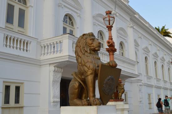 A pata do leão não assusta mais